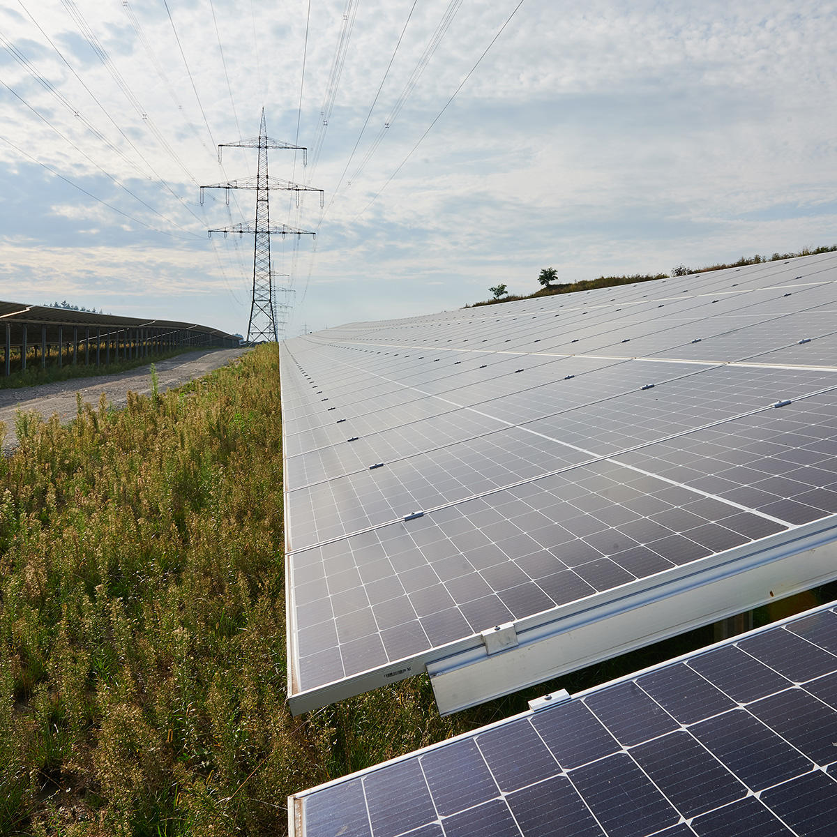 Solarpark Lüttow-Valluhn Detailansich PV-Panel