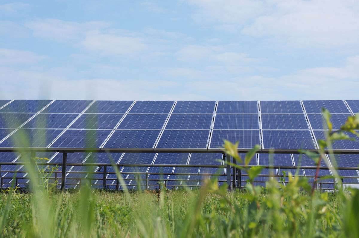 Aufgeständerte PV-Module im Solarpark Uttenreuth, davor grüne Wiese